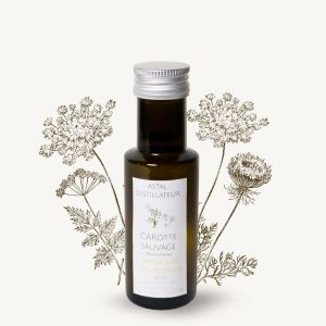 Hydrolat de Carotte sauvage