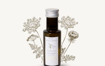 Hydrolat de Carotte sauvage