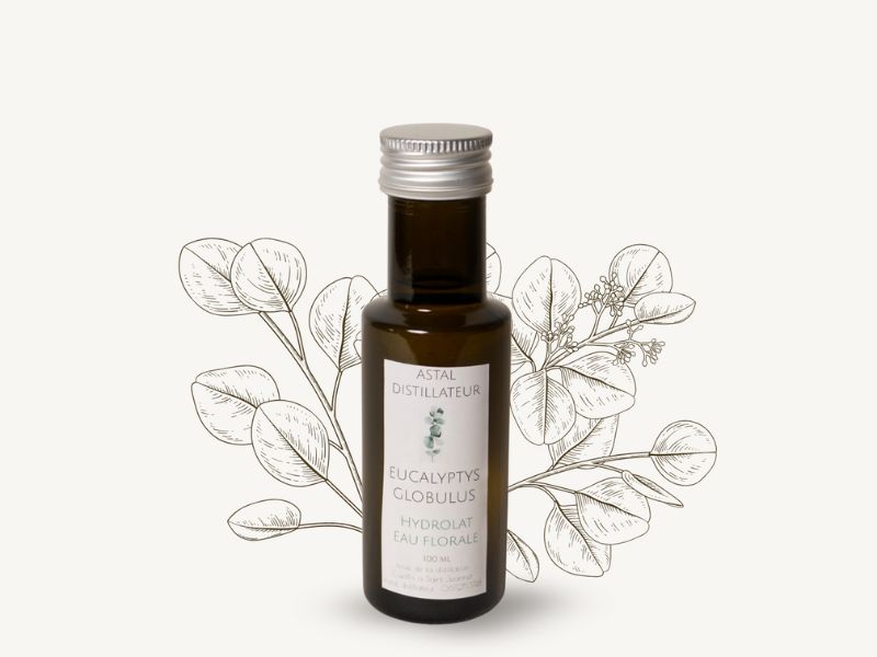 Hydrolat d'Eucalyptus globulus 1 Hydrolat d'Eucalyptus globulus