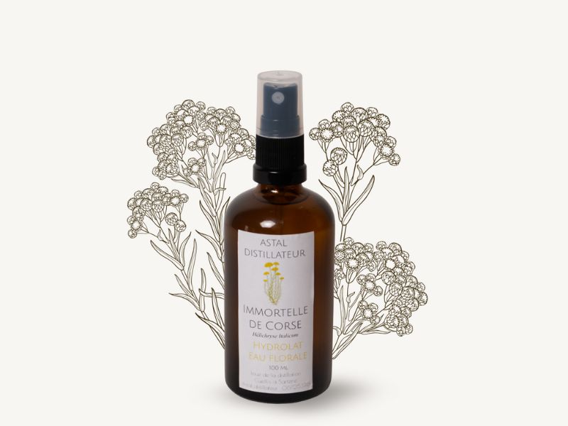Hydrolat d'immortelle de Corse 1 Hydrolat d'immortelle de Corse