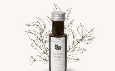 Hydrolat de Laurier noble