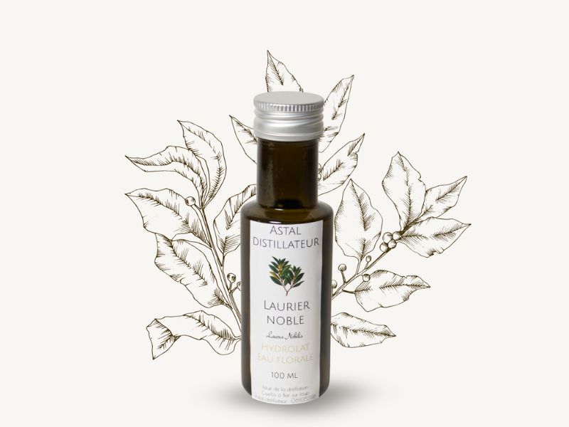 Hydrolat de Laurier noble 1 Bouteille d'hydrolat de laurier noble