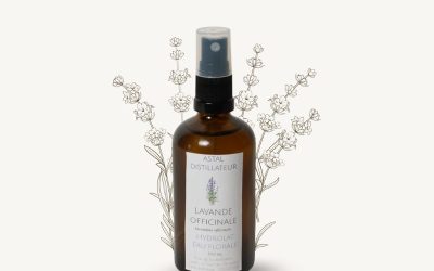 Hydrolat de Lavande officinale