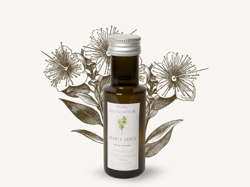 Hydrolat de Myrte verte 1 Bouteille d'hydrolat de myrte verte