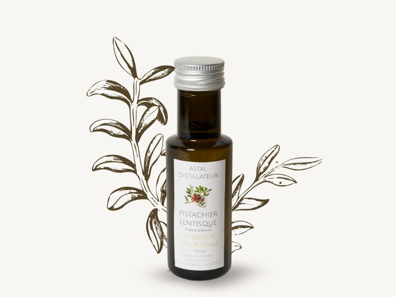 Hydrolat de Pistachier Lentisque 1 Bouteille d'hydrolat de pistachier lentisque