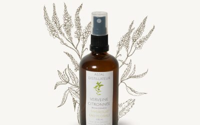 Hydrolat de Verveine citronnée