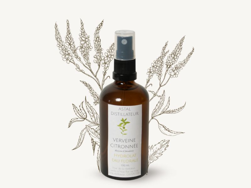Hydrolat de Verveine citronnée 1 Hydrolat de Verveine citronnée