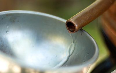 Cycle d’hydrolathérapie (10 séances)